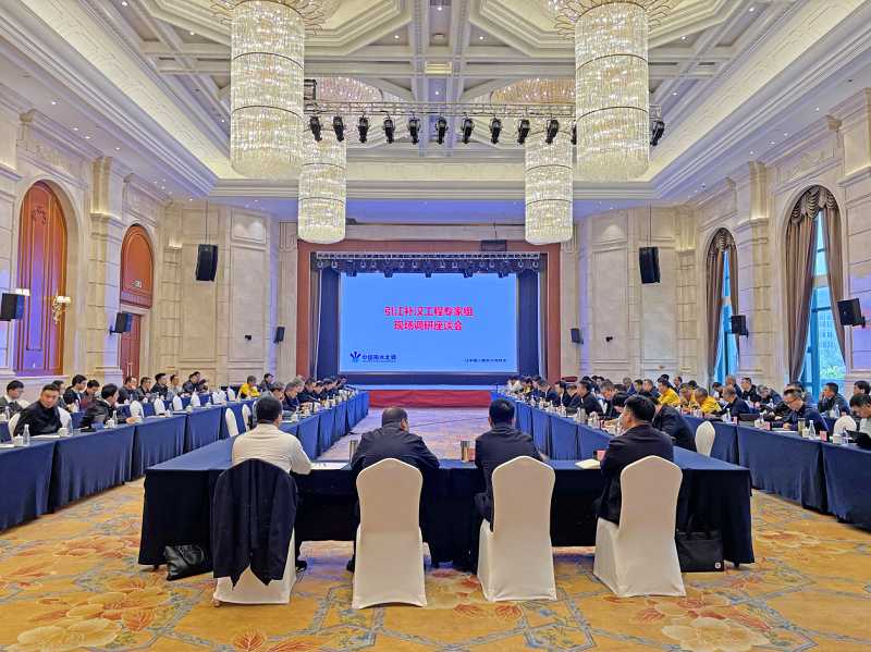 引江補漢工程專家組調研工程建設情況并組織召開專家座談會